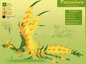 Dragon Adventures Pa'nanisea ! Dragon Adventures Pa'nanisea !