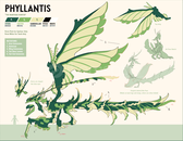 Dragon Adventures Phyllantis ! Dragon Adventures Phyllantis !