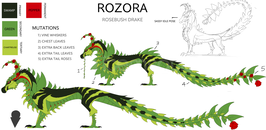 Dragon Adventures Rozora ! Dragon Adventures Rozora !