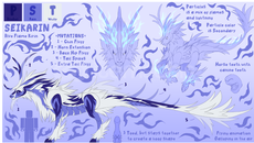 Dragon Adventures Seikarin ! Dragon Adventures Seikarin !