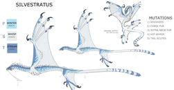 Dragon Adventures Silvestratus ! Dragon Adventures Silvestratus !