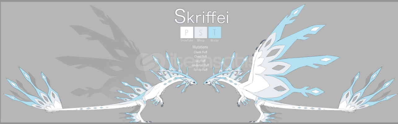 Dragon Adventures Skriffei ! Dragon Adventures Skriffei !