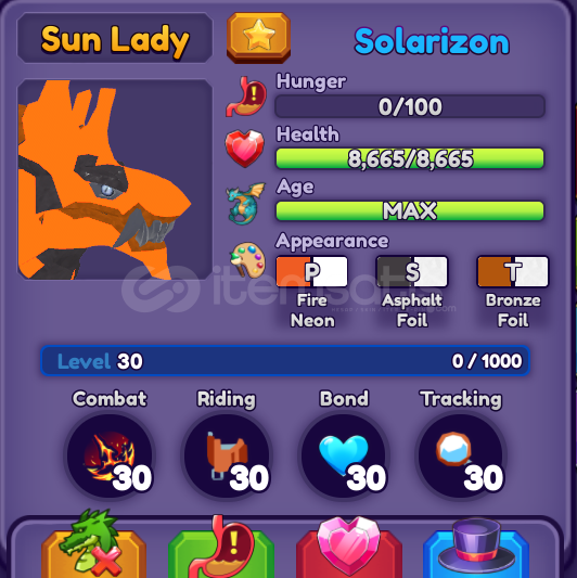Dragon Adventures Solarizon Dragon Adventures Solarizon