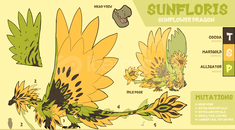 Dragon Adventures Sunfloris ! Dragon Adventures Sunfloris !