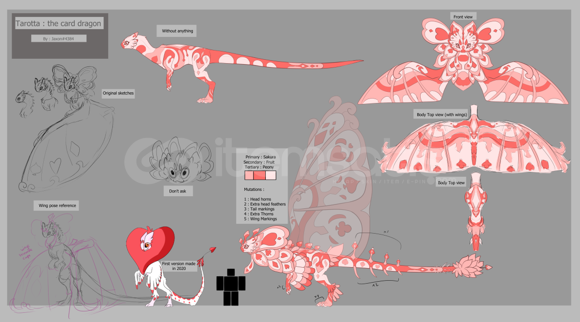 Dragon Adventures Tarotta ! Dragon Adventures Tarotta !