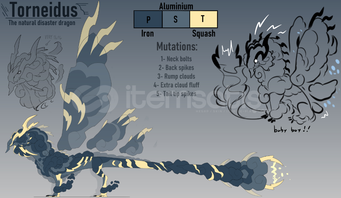 Dragon Adventures Torneidus ! Dragon Adventures Torneidus !