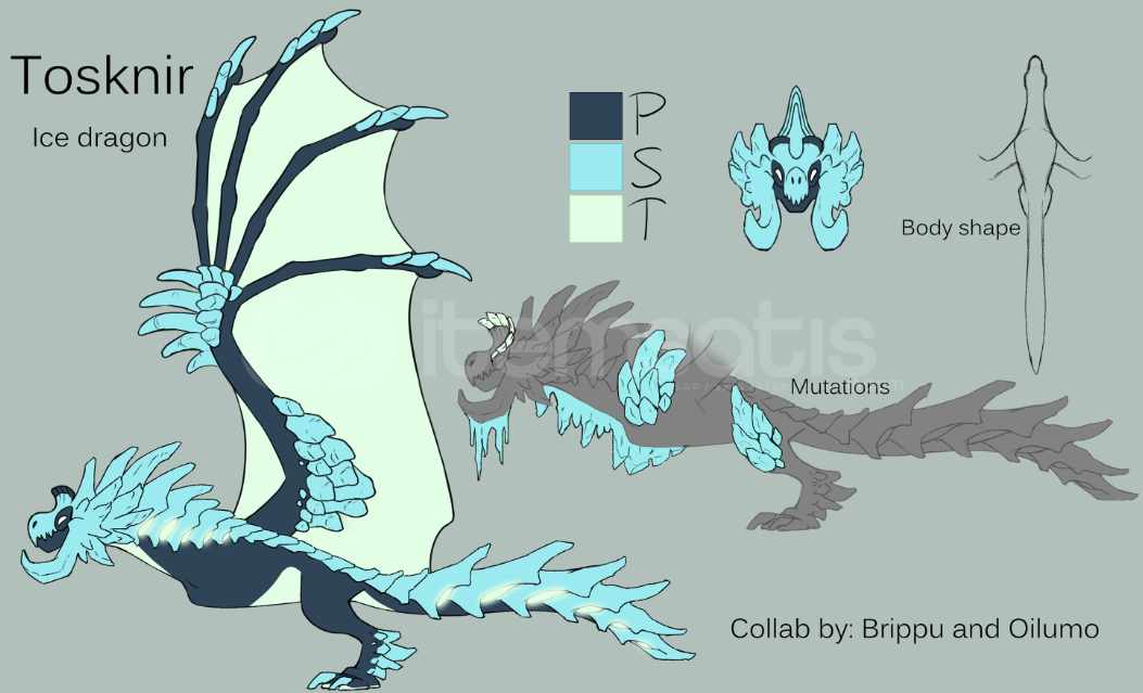 Dragon Adventures Tosknir ! Dragon Adventures Tosknir !