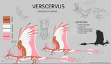 Dragon Adventures Verscervus