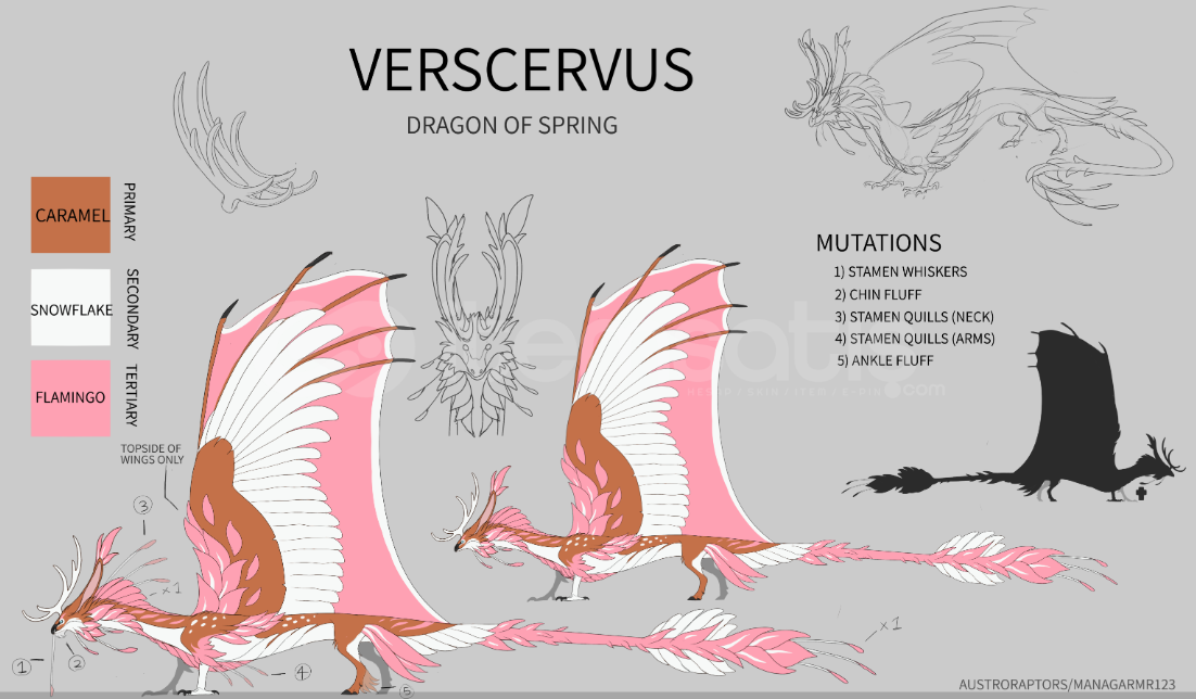 Dragon Adventures Verscervus ! Dragon Adventures Verscervus !