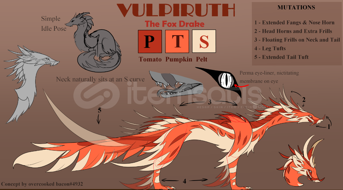 Dragon Adventures Vulpiruth ! Dragon Adventures Vulpiruth !