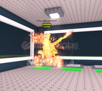 ⭐️Dragon Canelloni !! 200M⭐️