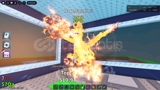 DRAGON CANELONI 1.5B/S