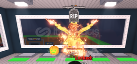 DRAGON CANNELLONİ 2.2 b