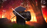 Dragon Fire Kill Effect - ZO Samurai