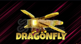 Dragon Fly Age 34 