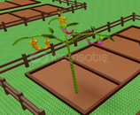 ⭐DRAGON PEPPER LI HESAP / GROW A GARDEN⭐