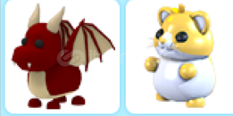 Dragon ve gold hamster