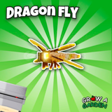 DRAGONFLY (1 STOK)