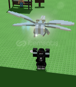 dragonfly dragonfly