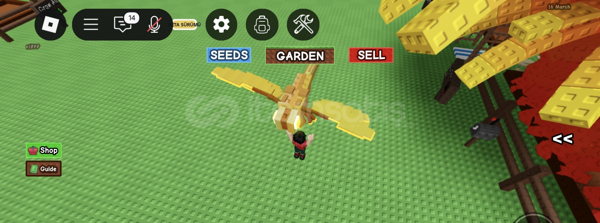 Dragonfly 50 SEVİYE Dragonfly 50 SEVİYE