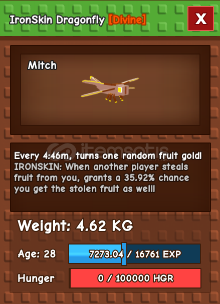 Dragonfly Grow a Garden En Ucuz  Dragonfly Grow a Garden En Ucuz