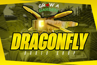 ✨DRAGONFLY✨HIZLI TESLİMAT Grow A Garden 