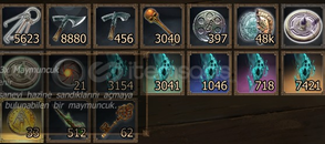 Drakensang Werian max mage 
