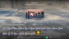 Dreams & Nightmares Case