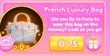 Dress To Impress French Luxury Bag 