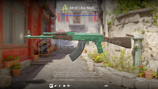 AK-47 | Kış Yeşili (FT) AK-47 | Kış Yeşili (FT)