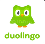 Duolingo Plus ÖMÜR BOYU SINIRSIZ ÜYELİK