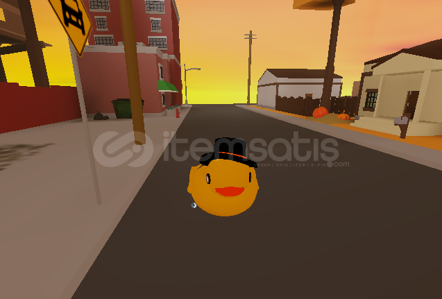 duck car  duck car