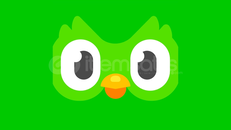 Duolingo Super Hesap