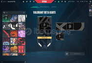 DÜŞÜK RANK SMURF HESAP BETA BANNER LI