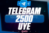 ⭐️ [DÜŞÜŞSÜZ!] 2500 TELEGRAM ÜYE ⭐