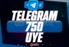 ⭐️ [DÜŞÜŞSÜZ!] 750 TELEGRAM ÜYE ⭐
