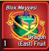 East DRAGON EN UCUZU 
