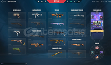 6 skin ve 1 bıçaklı valo hesabı !