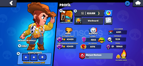 Efsanevi 1 hhesap matcherino pin vardır