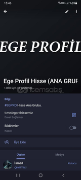 Ege Profil hisse grubu