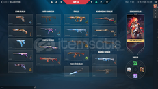 EJDER İON ASİL KAOS Karışık Skinli Plat Hesap