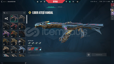 EJDER VANDAL TR SUNUCULU MAİLLİ HESAP