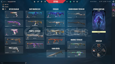 EJDER VANDALLI DOLU DOLU ÖZEL HESAP 