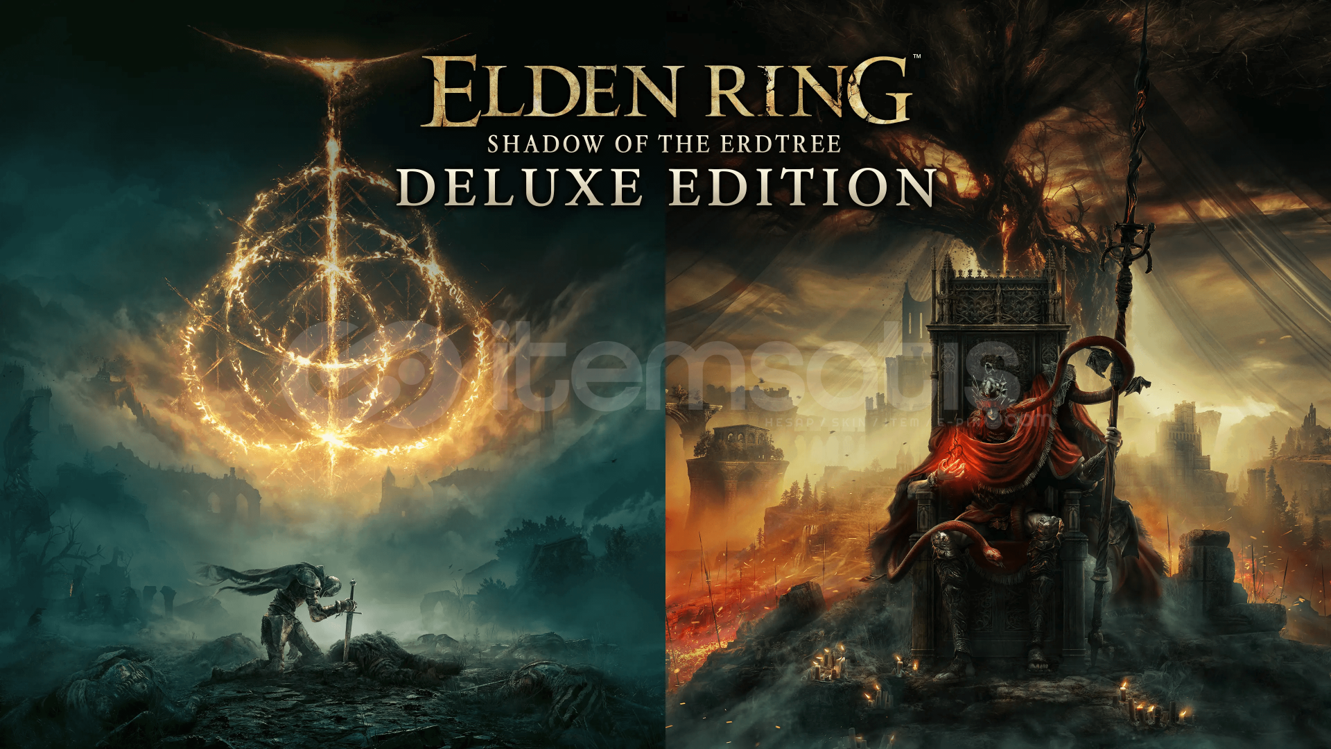 ELDEN RING + Shadow of the Erdtree DLC ELDEN RING + Shadow of the Erdtree DLC