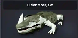 Elder mossjaw 