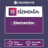 Elementor Pro 1 Yıllık [ 1 Domain]