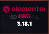 Elementor Pro 3 18 1