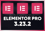 Elementor Pro 3.23.2