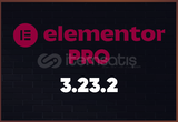 Elementor Pro 3 23 2