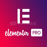 Elementor Pro - 3.25.0